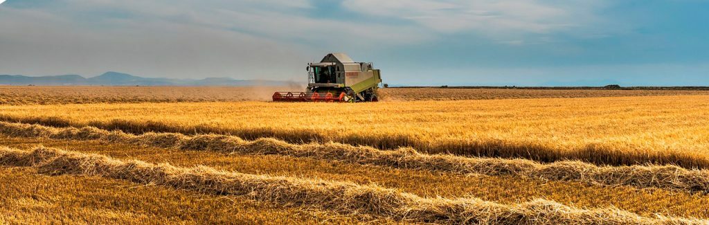 FIBRAN PITESA 1536x326 1 e1761645953395