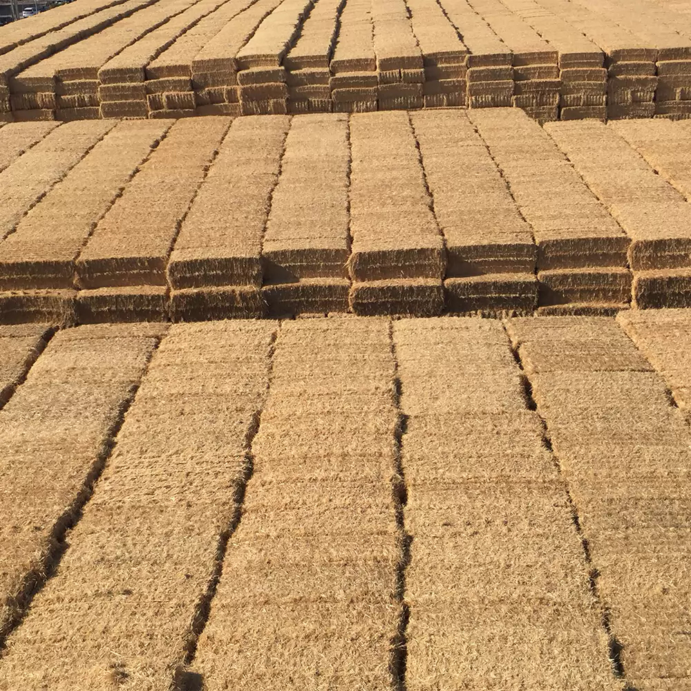 PAJA Hydrolysed with NaOH