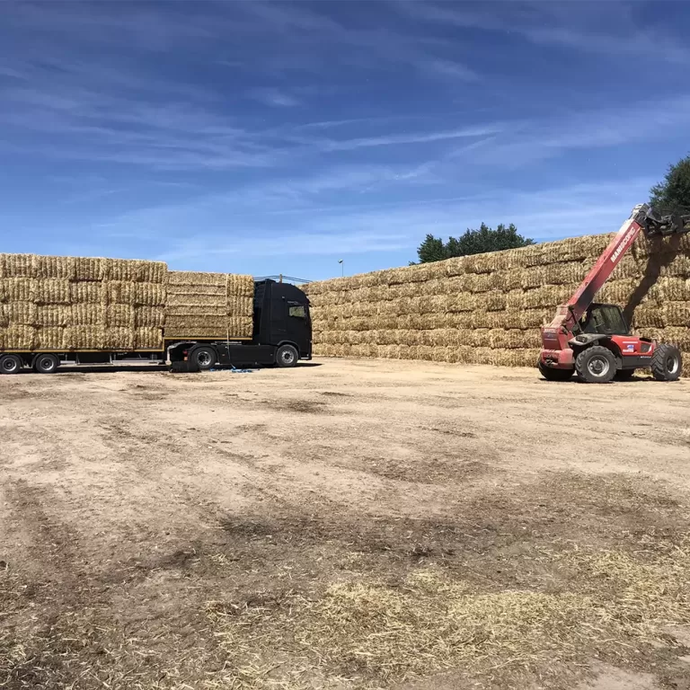 pitesa straw storage 768x768 1