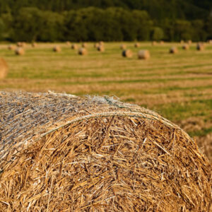 beautiful countryside landscape hay bales in harvested fields czech republic europe agriculture