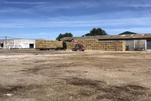 Hydrolysed cereal straw FIBRAN 768x768 1