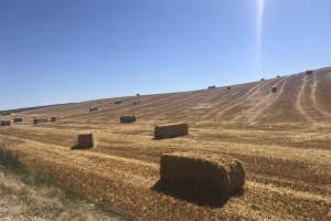 contact pitesa 1536x1152 1